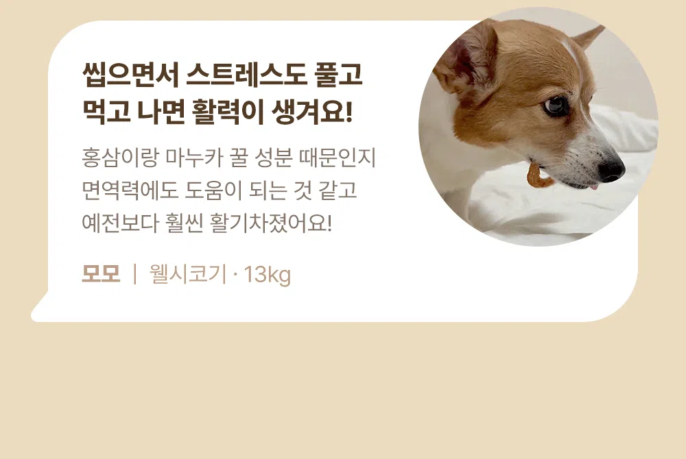 [NEW신상]조공 꿀홍삼 터키츄 스틱 30g 17번째