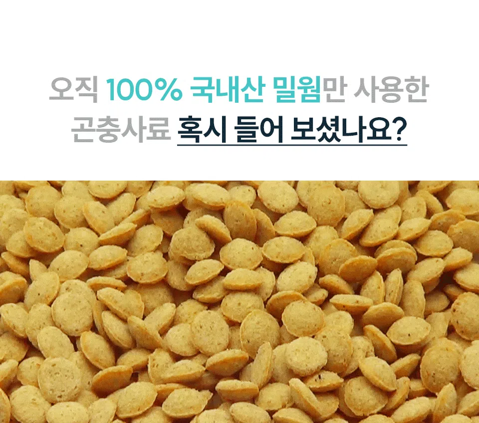 [NEW신상][무료배송] 벅스펫 벅스독 프리미엄 이더블 인섹트 1.2kg 5번째