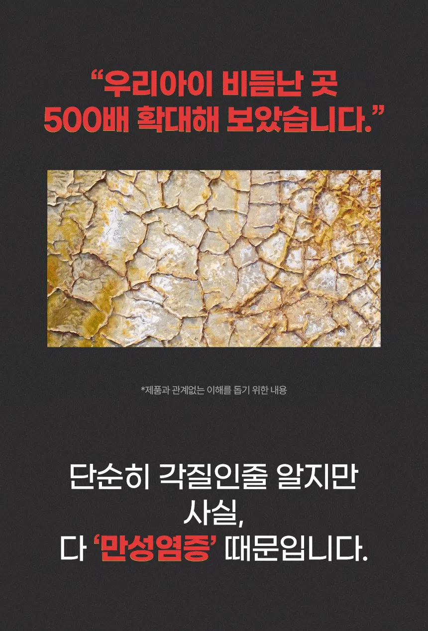 [브랜드전]웰찹 펫 오메가3 트리플 r-TG 500 30일 2번째