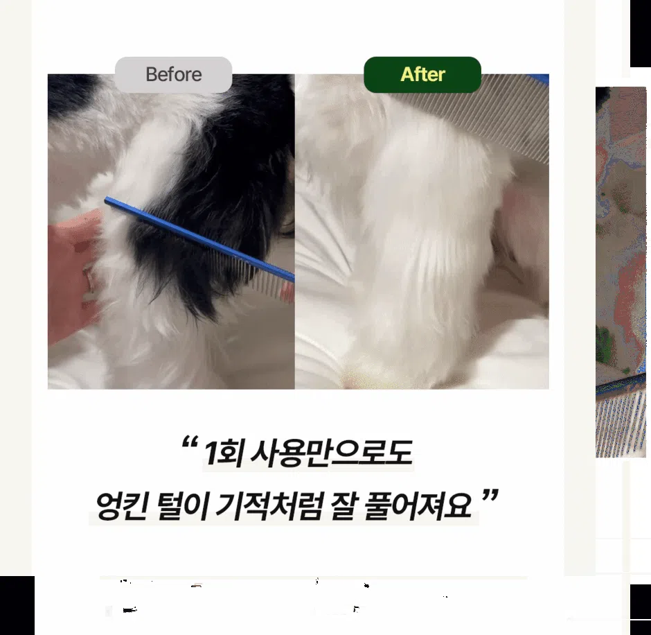 [무료배송] 리꼬르소 독 실키 스킨&코트 미스트 200ml 7번째