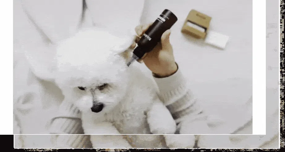 [무료배송] 리꼬르소 트룰리 이어클리너 100ml 25번째