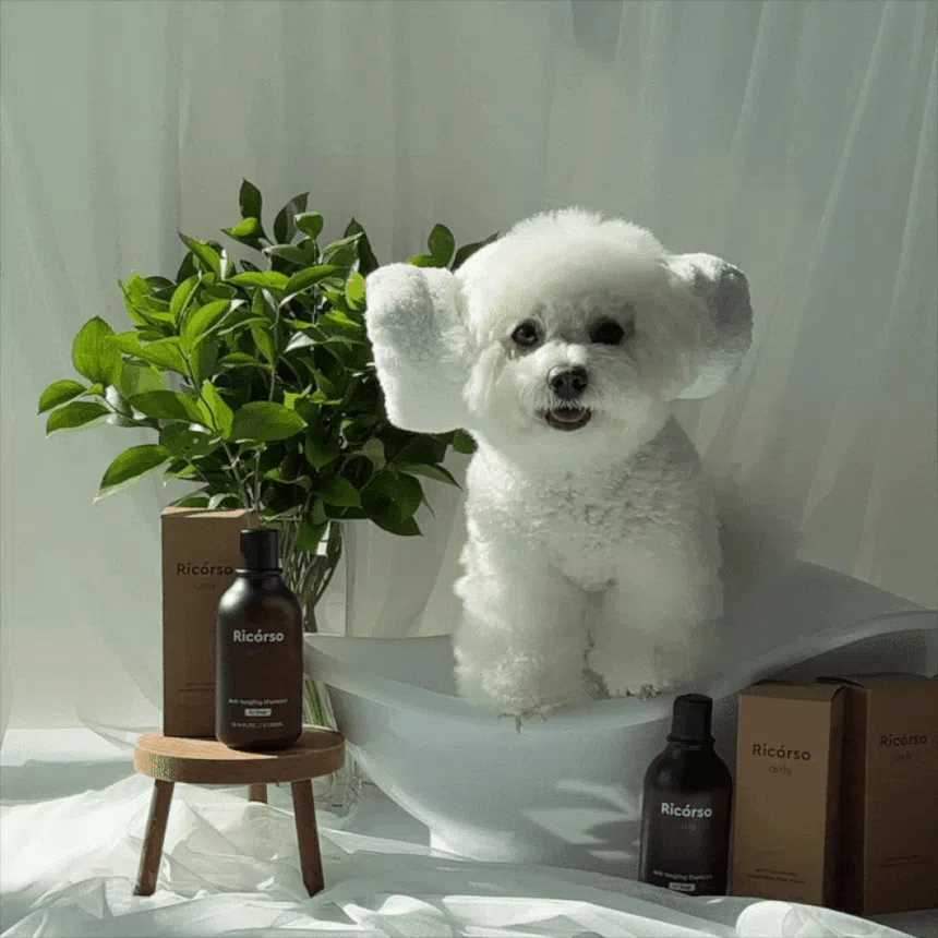 [무료배송] 리꼬르소 독 에얼리 안티탱글링 샴푸 300ml 11번째