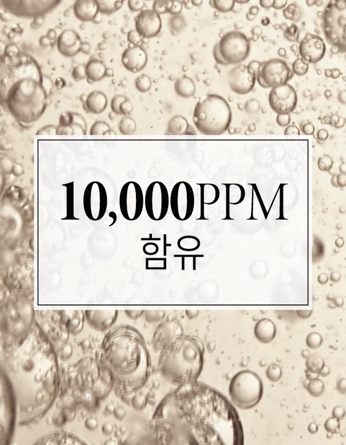 [무료배송] 디고 펫 에스테틱 삼푸 300ml 15번째