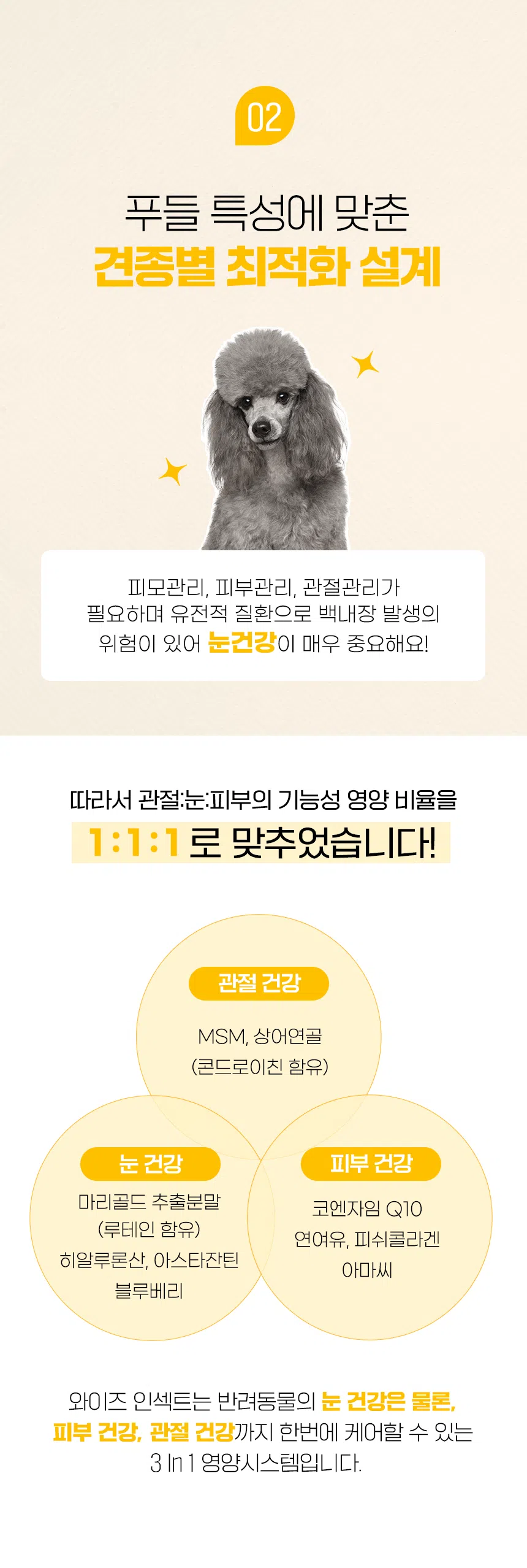 [NEW신상][무료배송] 데이스포 독 와이즈 인섹트 푸들 1.5kg 4번째