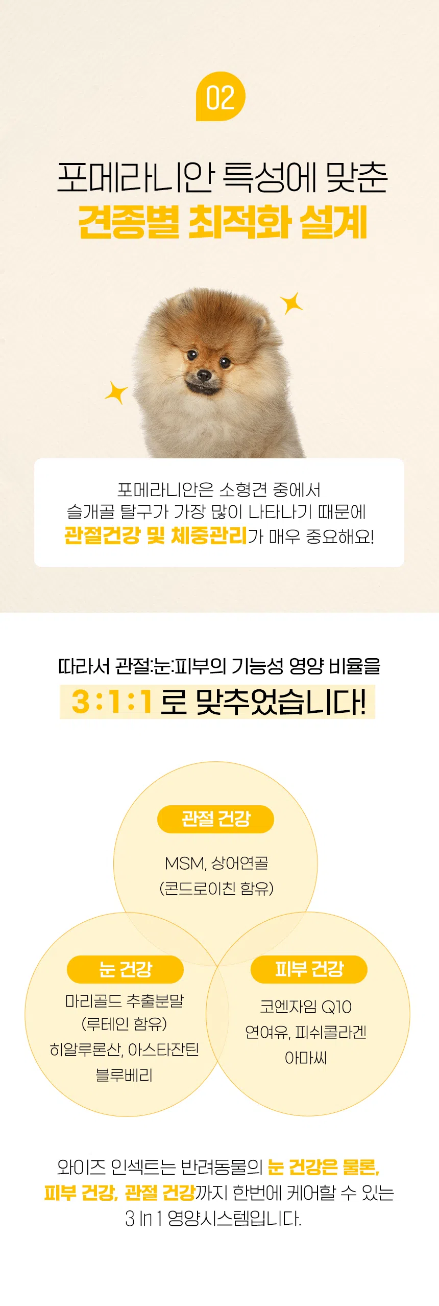 [NEW신상][무료배송] 데이스포 독 와이즈 인섹트 포메라니안 1.5kg 4번째