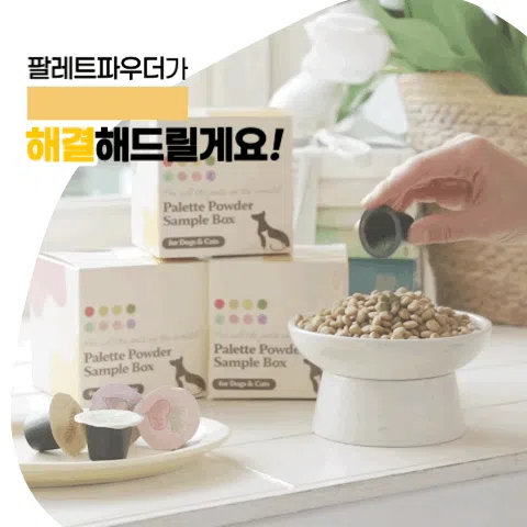 [NEW신상][무료배송] 페네핏 팔레트파우더 6종 4g*15개입 2번째