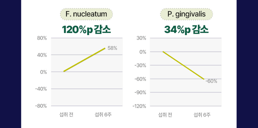 [NEW신상][무료배송] 동아제약 벳플 락토덴탈 장 구강 영양제 30p 4번째