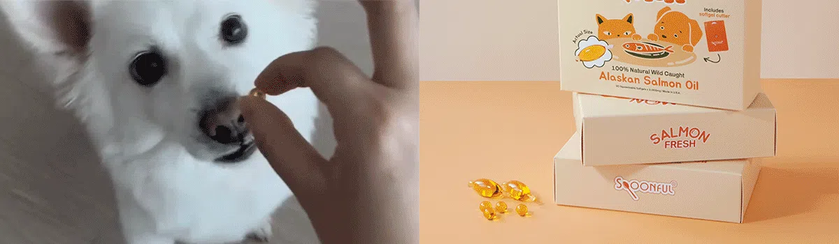 [NEW신상][체험팩] 스푼풀 자연산 알래스카 연어 스퀴즈 오메가-3 2000mg 1캡슐 9번째