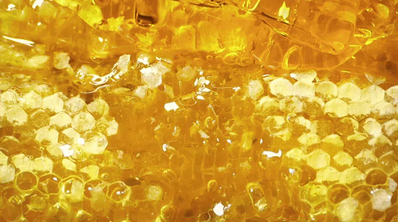 프로젝트21 기관지 협착증 영양제 퓨어 브레스 케어 7g*30p 14번째