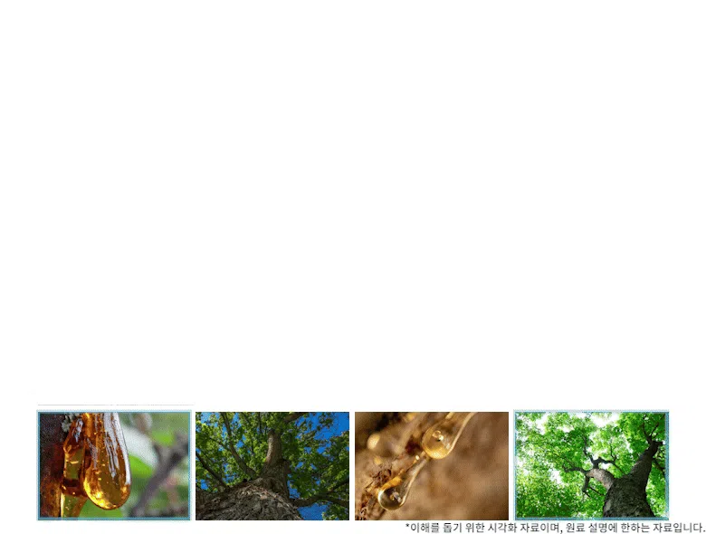 프로젝트21 기관지 협착증 영양제 퓨어 브레스 케어 7g*30p 11번째