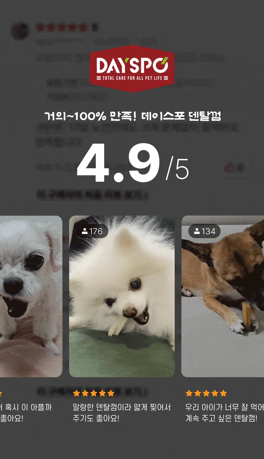 [NEW신상][무료배송] 데이스포 독 한삼인 덴탈클리닉 뷰티 200g 2번째