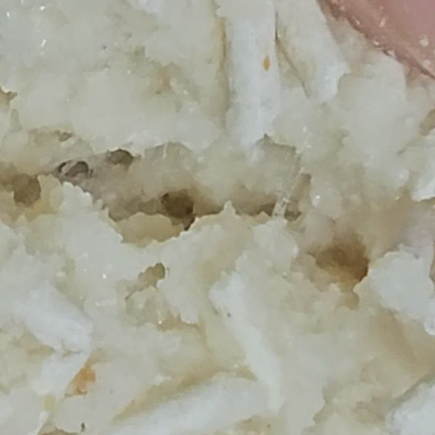 [NEW신상][무료배송] [6개] 캣츠태그 S급 두부모래 완두섬유 2.5kg 2번째