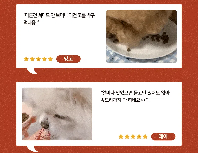 [NEW신상][사료샘플] 라포그 독 리얼인섹트 소프트키블 조인트 40g 4번째