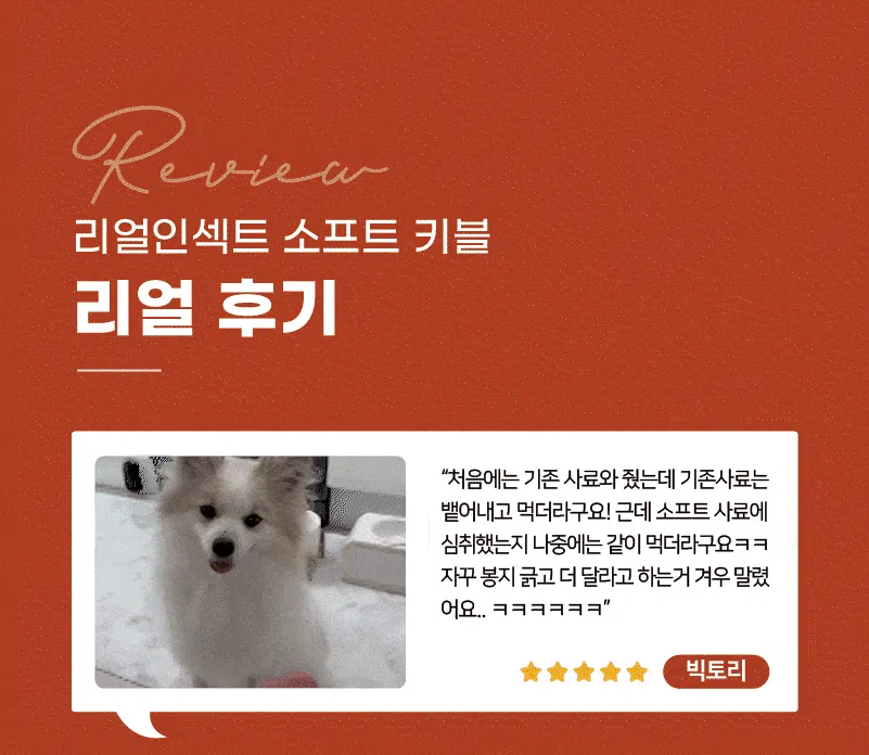 [NEW신상][사료샘플] 라포그 독 리얼인섹트 소프트키블 조인트 40g 3번째