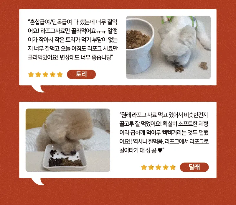 [NEW신상][사료샘플] 라포그 독 리얼인섹트 소프트키블 조인트 40g 5번째