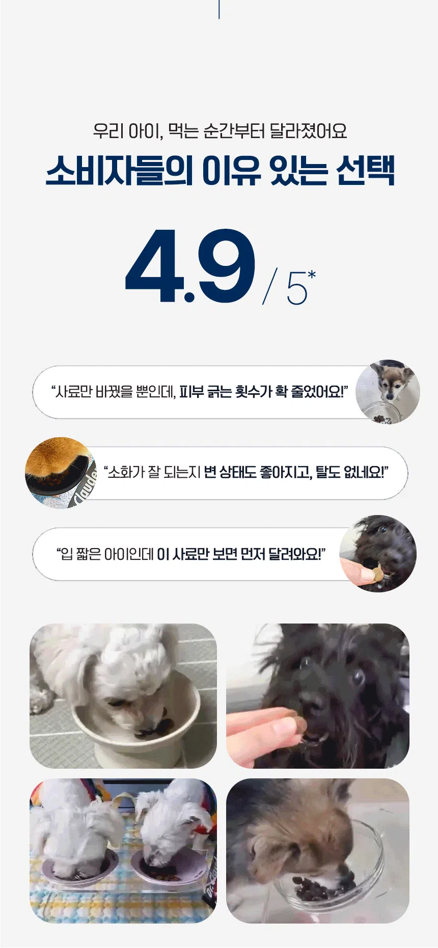 [NEW신상][무료배송] 닥터클라우더 독 어덜트 미디엄 350g 7번째