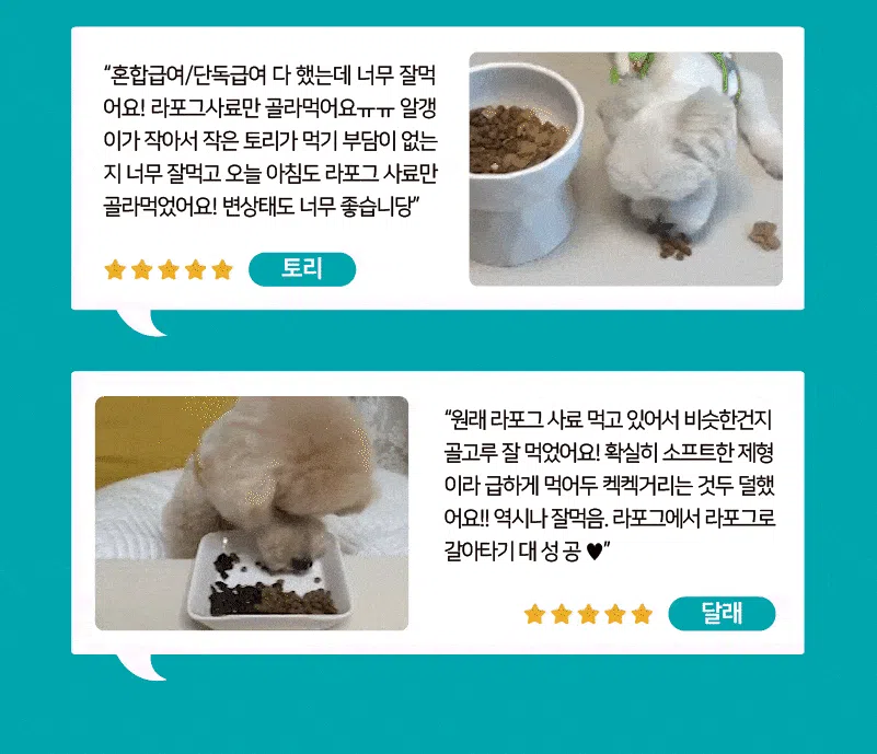 [NEW신상][사료샘플] 라포그 독 리얼인섹트 소프트키블 아이케어 40g 5번째