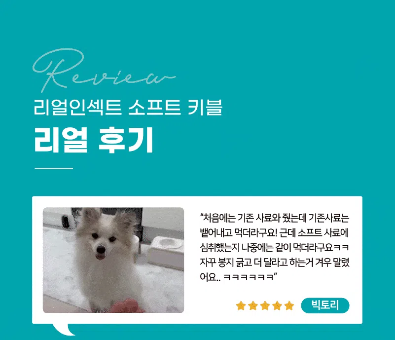 [NEW신상][사료샘플] 라포그 독 리얼인섹트 소프트키블 아이케어 40g 3번째