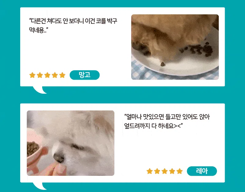 [NEW신상][사료샘플] 라포그 독 리얼인섹트 소프트키블 아이케어 40g 4번째