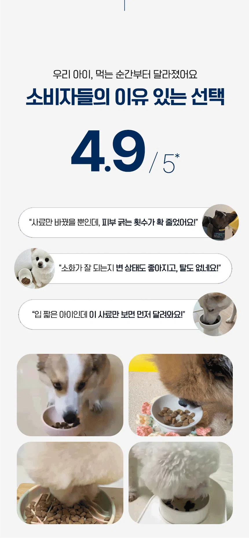 [NEW신상][무료배송] 닥터클라우더 독 생선&쌀 4kg 2번째