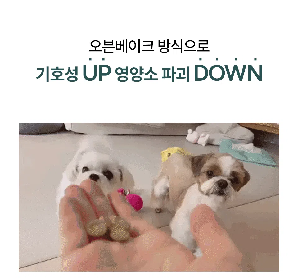 [NEW신상][무료배송] 벅스펫 벅스독 오리지널 1.2kg 5번째