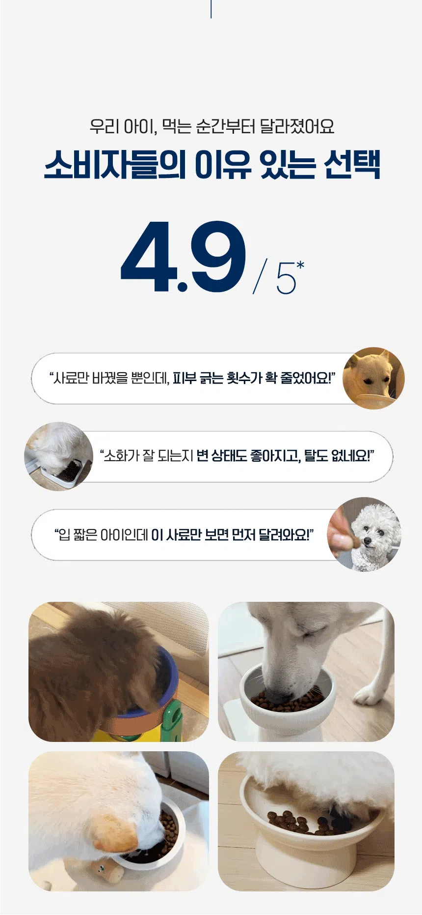[NEW신상][무료배송] 닥터클라우더 독 주니어 미디엄 퍼피 4kg 2번째