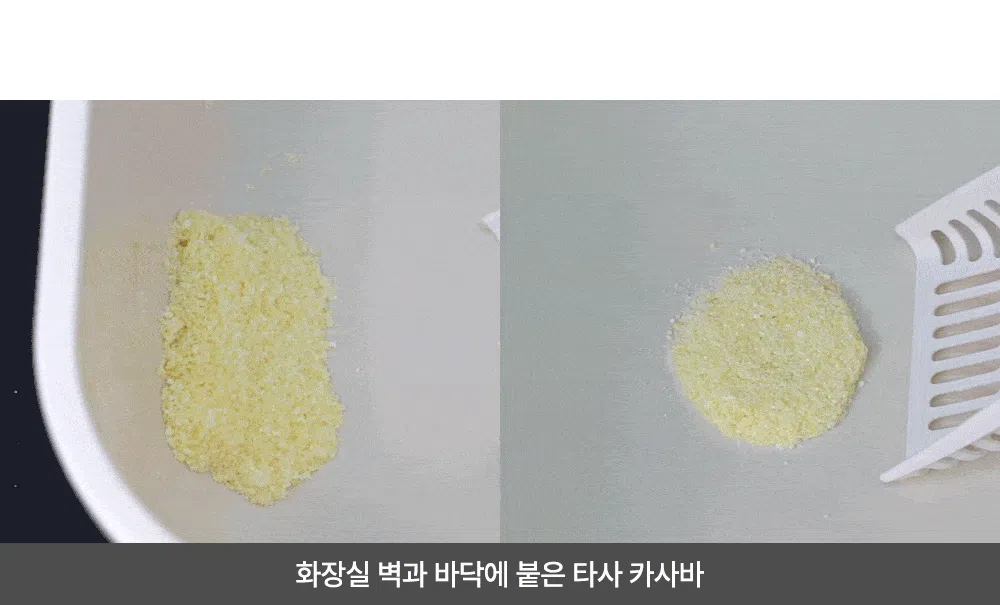 [NEW신상]카사킹 카사바 4.5kg 8번째