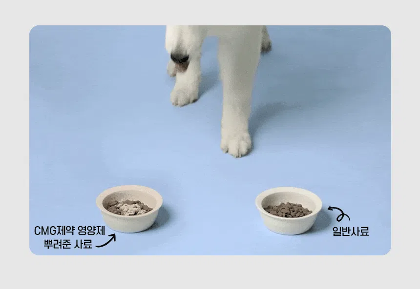[NEW신상][무료배송] CMG제약 루테인 플렉스 30개입 6번째