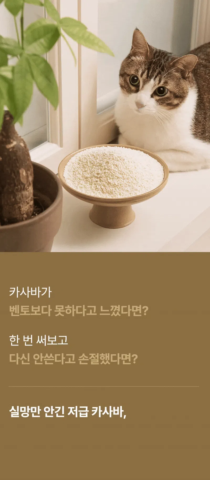 [NEW신상][무료배송] 에이스 카사바 모래 카사벨라 4.8kg 4번째