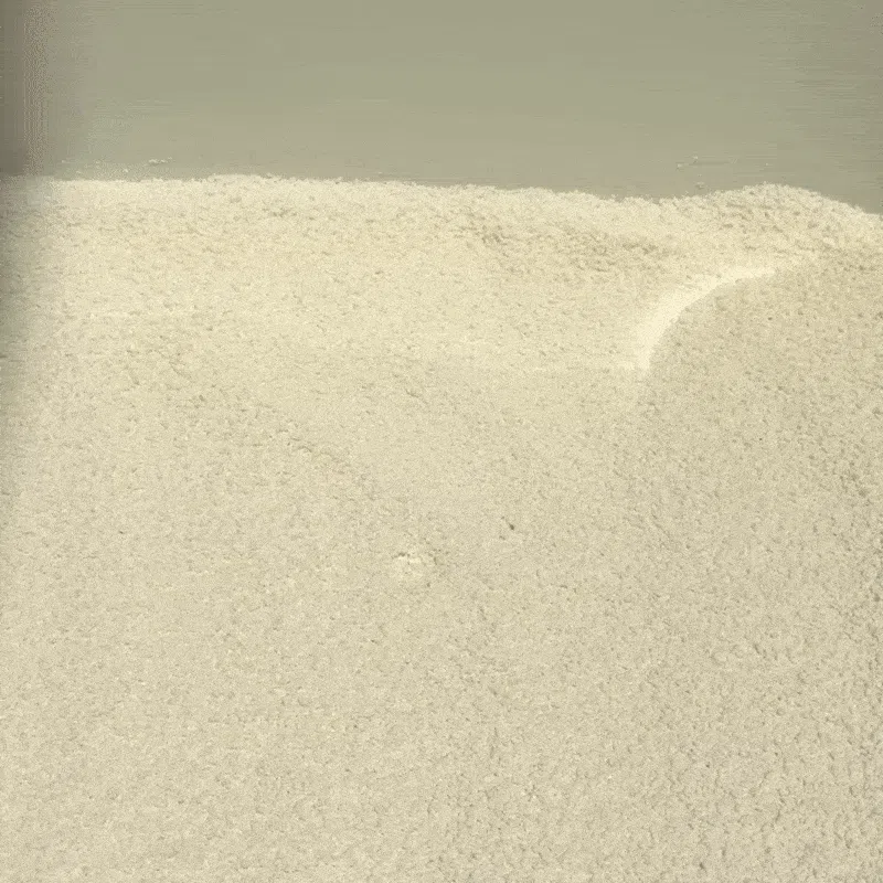 [NEW신상][무료배송] 에이스 카사바 모래 카사벨라 4.8kg 12번째