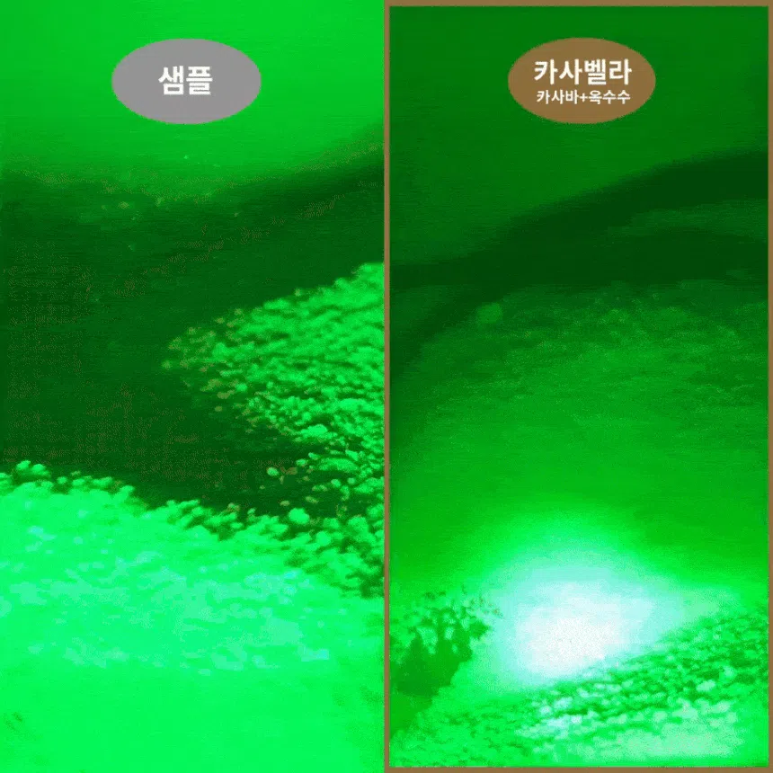 [NEW신상][무료배송] 에이스 카사바 모래 카사벨라 4.8kg 31번째
