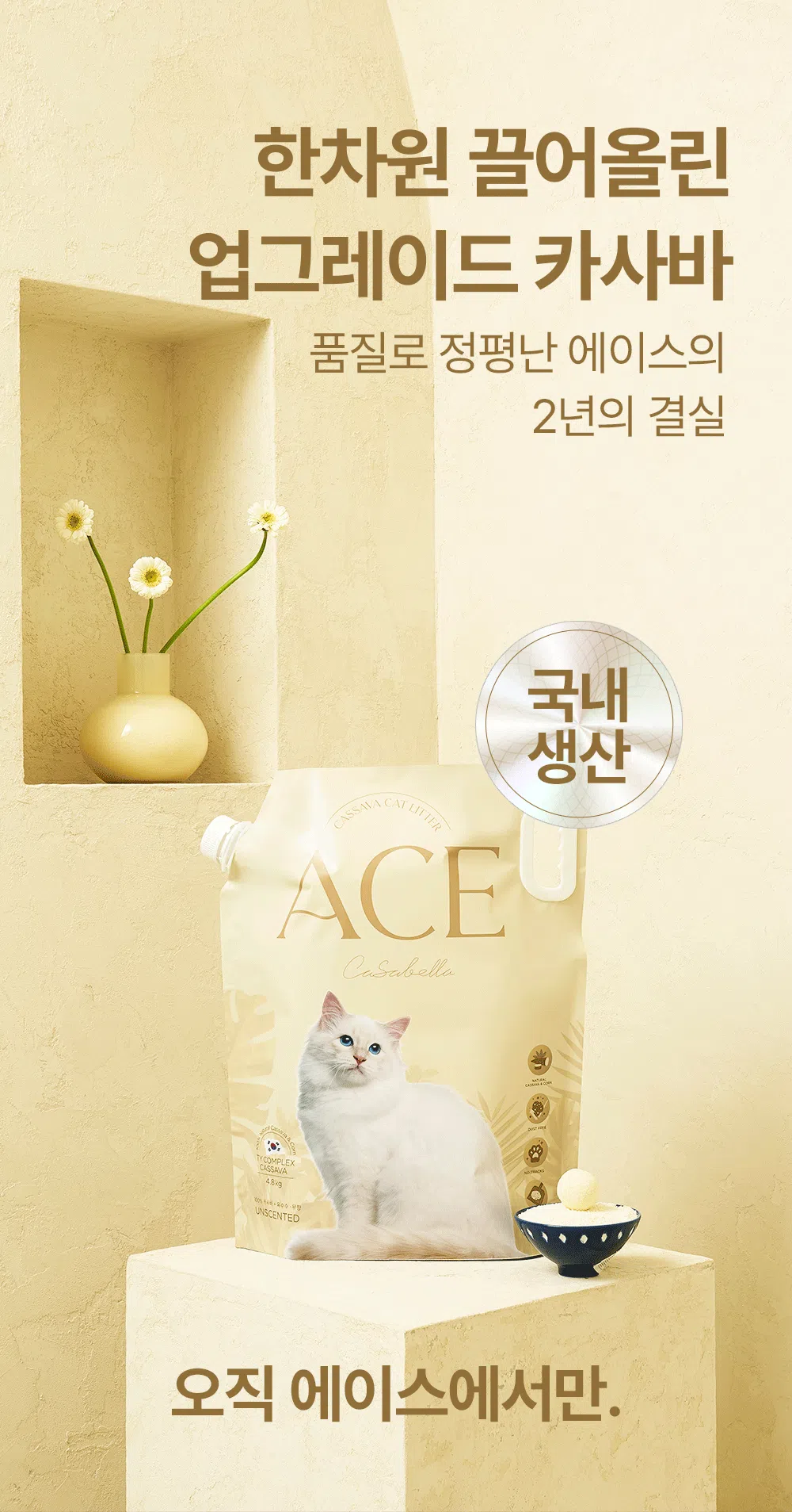 [NEW신상][무료배송] 에이스 카사바 모래 카사벨라 4.8kg 5번째