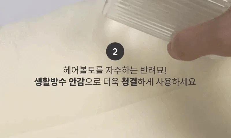[NEW신상][무료배송] 모우스튜디오 냥모나이트 방석(사계절용) 11번째