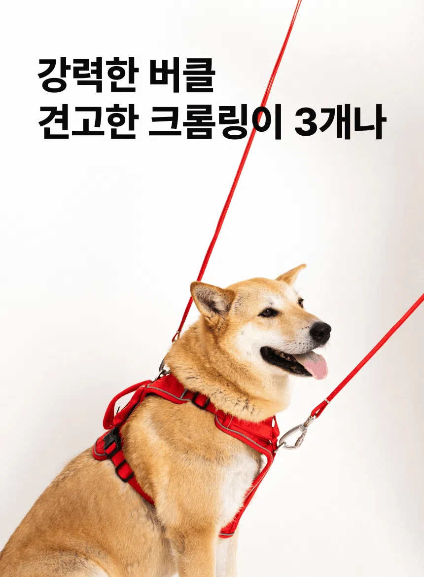 [NEW신상][무료배송] 큰강아지 빅네스 앞섬방지 하네스 가슴줄 H형 (M-XL) 9번째