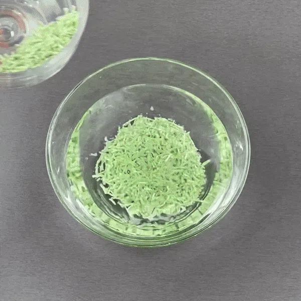 [NEW신상][무료배송] 펫파운드 어썸 두부모래 1.5mm*6ea 2종 (무향/녹차향) 10번째