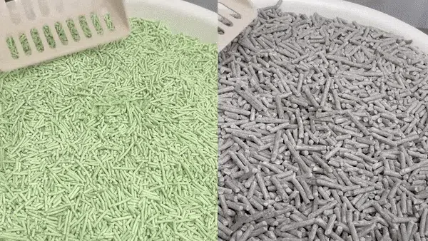 [NEW신상][무료배송] 펫파운드 어썸 두부모래 1.5mm*6ea 2종 (무향/녹차향) 7번째