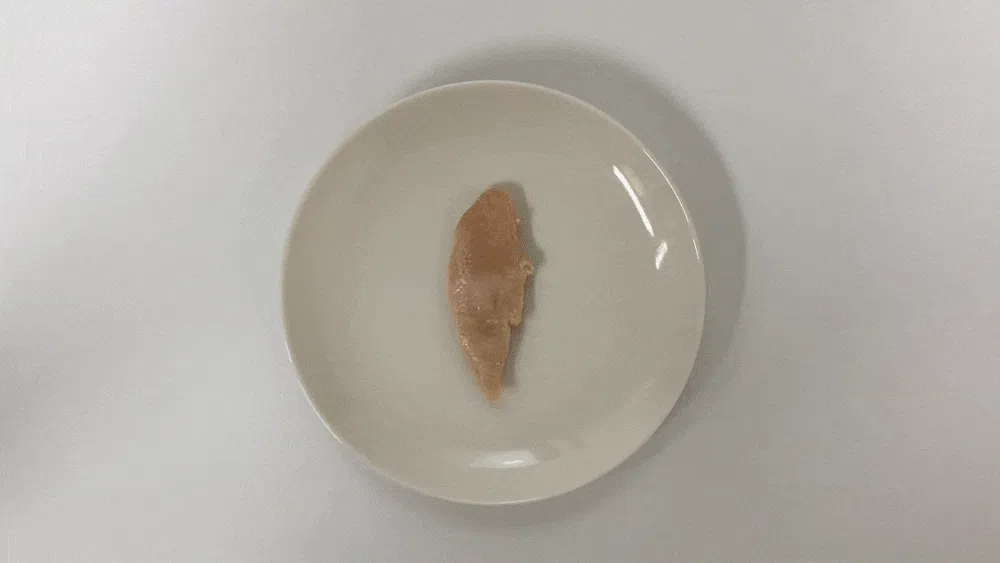 [NEW신상][무료배송] 도그퓨어 닭고기 통살 간식 22g*10개입 3종 모음 (오리지널/초록입홍합/차전자피) 5번째
