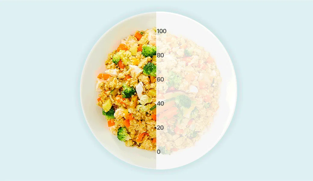 [무료배송] [30팩] 듀먼 독 자연화식 10종*3팩 한달의행복 패키지 100g 9번째