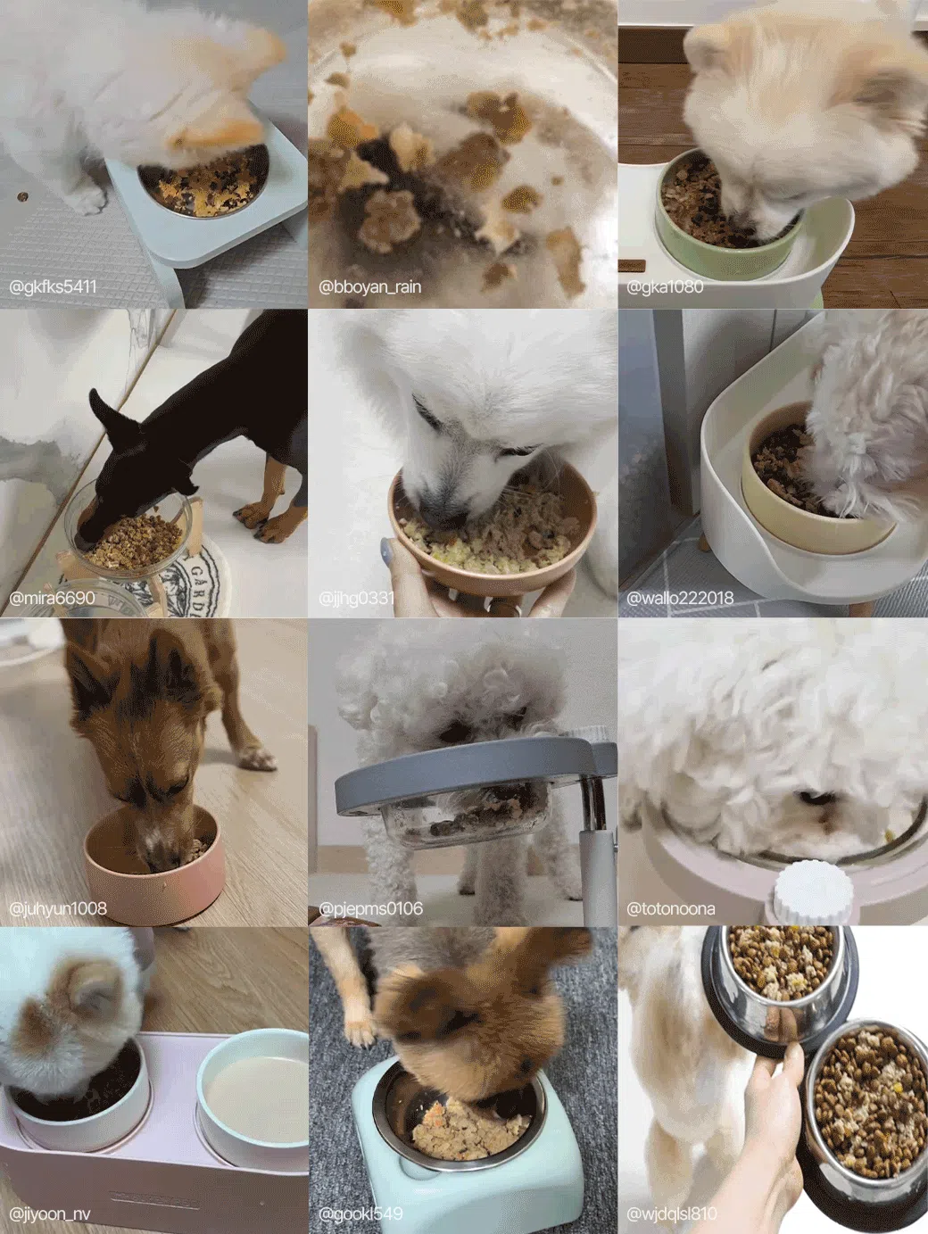 [무료배송] [30팩] 듀먼 독 자연화식 10종*3팩 한달의행복 패키지 100g 3번째