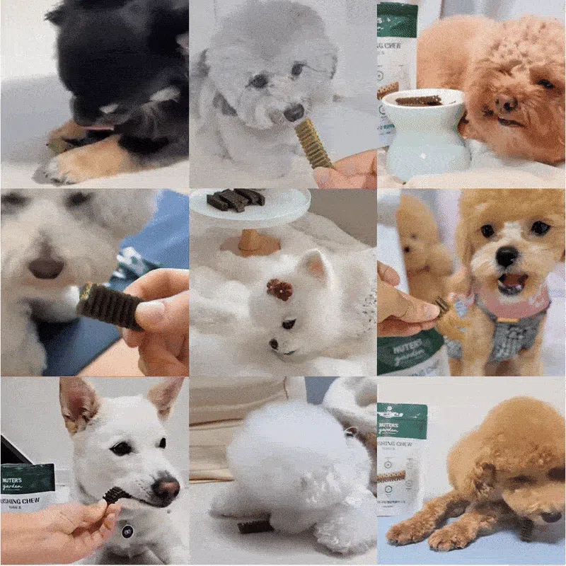 누터스가든 브러싱츄 덴탈껌 100개입 1번째