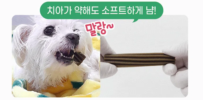 [창고대방출] [체험팩] 리브펫 덴탈핏츄 1p 9번째