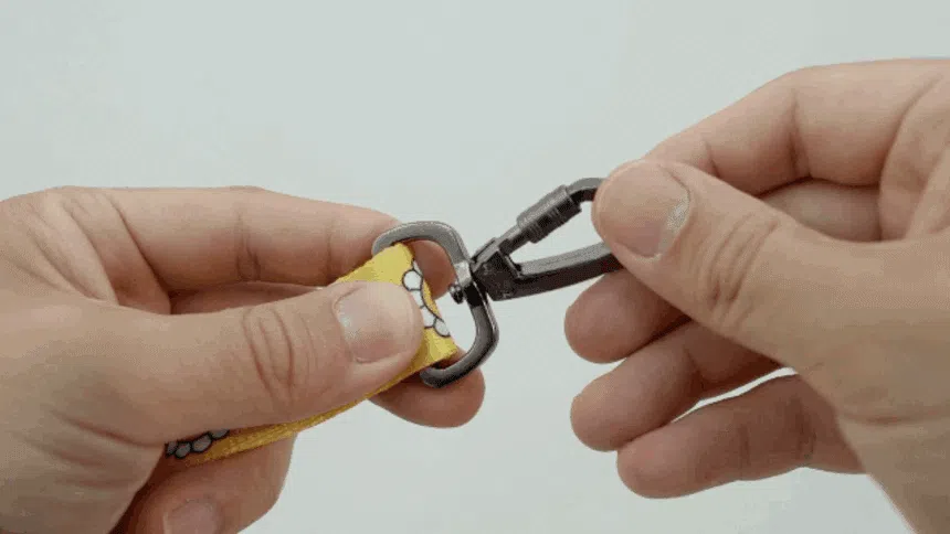 [NEW신상][무료배송] 베일리펫 강아지 산책 소형견 중형견 데이지 워키 리드줄  20mm/25mm (옐로우/그린/네이비/레드) 10번째