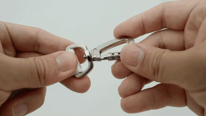 [NEW신상][무료배송] 베일리펫 강아지 산책 초경량 웨빙 테디 워키 리드줄 20mm/25mm (민트/핑크/아이보리) 10번째