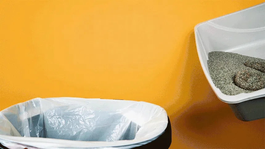 [NEW신상]암앤해머 클럼프&씰 슬라이드 멀티캣 6.4kg 2번째