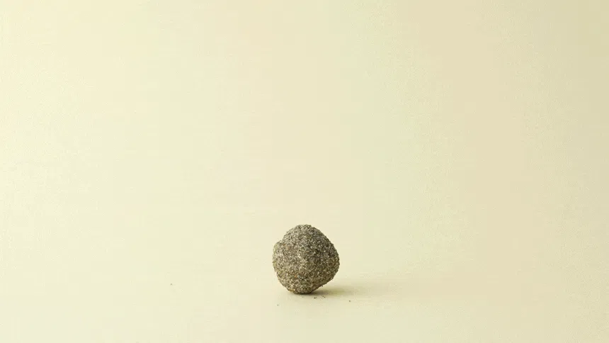 [NEW신상]암앤해머 클럼프&씰 슬라이드 클라우드 컨트롤 6.4kg 5번째