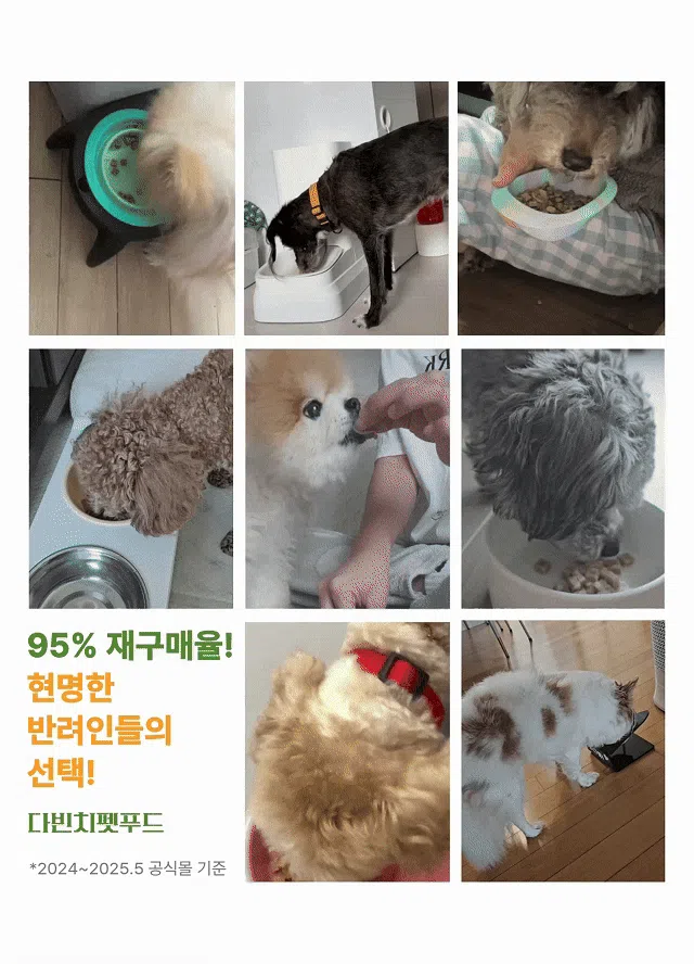 다빈치독 LID 다이어트 1.5kg 3번째