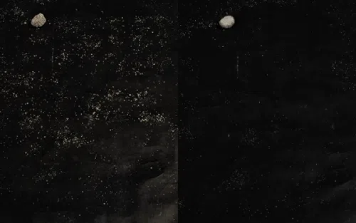 [브랜드전]닥터펠리스 캣 퓨저나이트 슈퍼볼 4.3kg 16번째