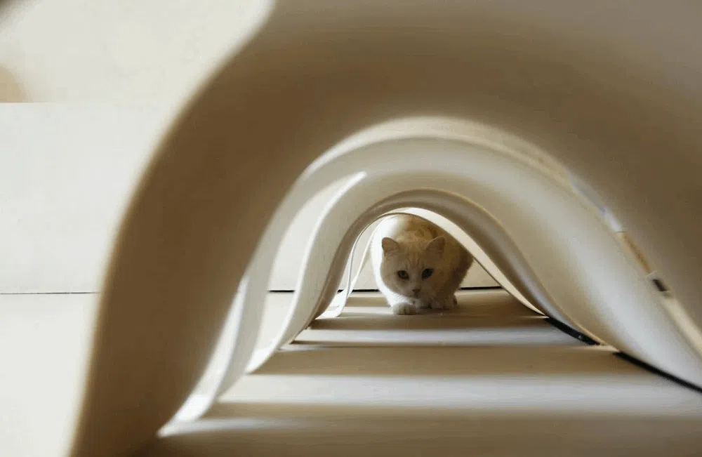 [NEW신상]소심한호랑이 쏙쏙터널 4P 특대형 아이보리&화이트 10번째