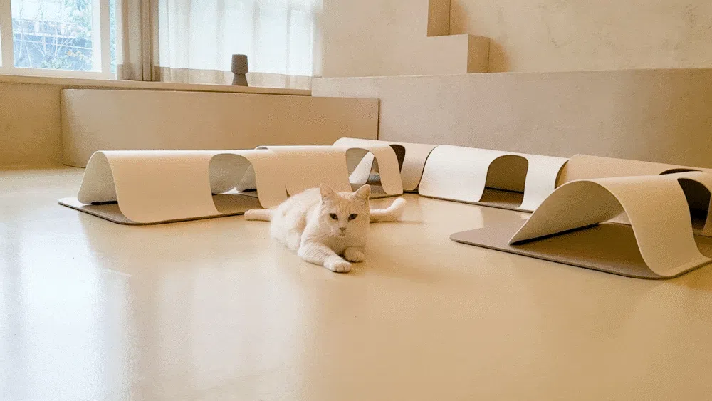 [NEW신상]소심한호랑이 쏙쏙터널 4P 특대형 아이보리&화이트 3번째