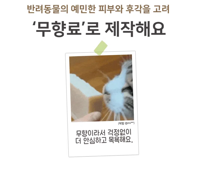 [체험단] [무료배송] 배사봉 수제 목욕비누 베어스킨 20g 30번째